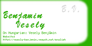 benjamin vesely business card
